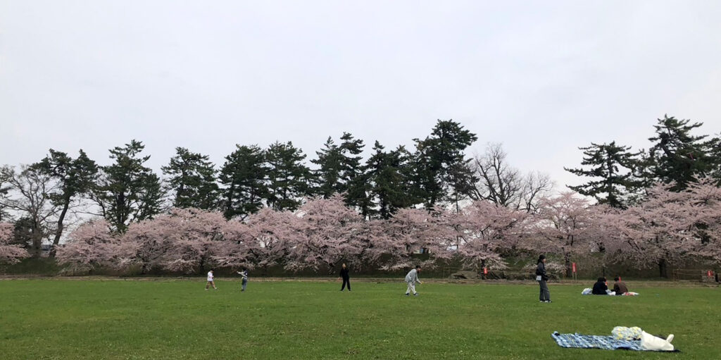 芝生で遊ぶ子供たち